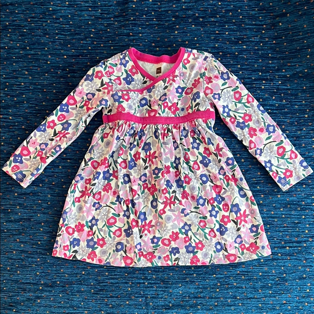 Tea Collection Floral Long Sleeve Dress with Pink Trim size 18-24 months